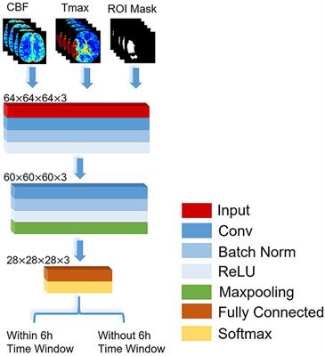 Identifying patients with acute ischemic stroke within a 6-h window for the treatment of endovascular thrombectomy using deep learning and perfusion imaging